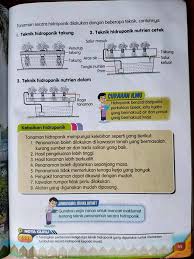 Membuat tanaman dengan cara hidroponik bisa menjadi selingan dalam mengisi waktu luang. Alhamdulillah Dalam Buku Darjah 6 Ada My Little Garden 2 Facebook
