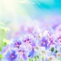 Linda D. Augustine Obituary