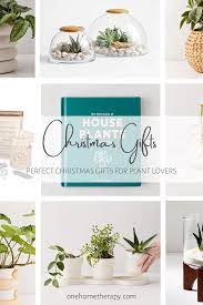 Not Sure What To Give Your Loved Ones For Christmas We Prepared An Amazing Selection Of Christmas Gifts For P Plant Lover Diy Kitchen Gifts House Plants Decor