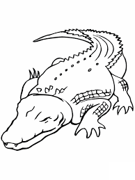 Crocodiles are reptiles belonging to the crocodilians family, which also includes, the indian gharial, alligators, and the caimans. Free Printable Crocodile Coloring Pages For Kids