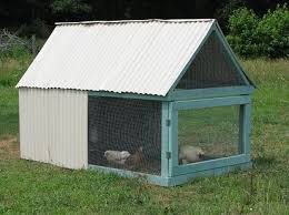 Accommodations offer separate sitting areas. 96 Turkey Goose Ideas Chickens Backyard Chickens Chicken Coop
