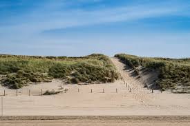 Find nearby locations on map. Dunes In Zandvoort Aan Zee Netherlands By Melanie Kintz Netherlands Summer