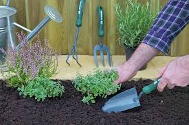 Weeding tool types are as numerous as the weeds we want to destroy so we invite you to take a look at the many time tested weeding tools we offer and see if there is one to help you with your weeding problem. Weeding Tools Tips Argos