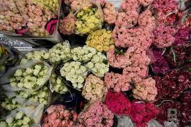 Check spelling or type a new query. Thanks To Pandemic And Customs Tariffs Why Flower Prices Skyrocket Realnoevremya Com
