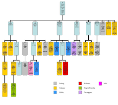 Sultanah bahiyah, daughter of tuanku abdul rahman of negeri sembilan, married 1956. Johor Royal Family Tree