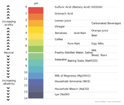 Acids And Bases Litmus Paper Properties Videos And