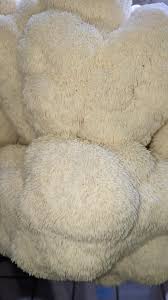 gourmet], Lions Mane Porn. : rMushroomGrowers