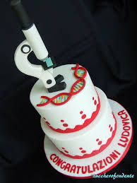 Torta Laurea In Biologia Torta Laurea Torte Di Laurea Petit Gateau
