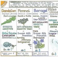Herbs Table Chart Pdf Herbalism Herbal Healing Healing Herbs