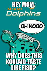 Pin On Dolphins Suck