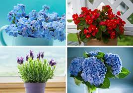 A thank you messages to send with thank you flowers to show your gratitude for the helping hand, nice words or selfless act of another can thank you messages to send with flowers. 30 Of The Best Thank You Flowers To Express Your Gratitude Photos Home Stratosphere