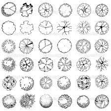 Black And White Tree Drawing Image Result For Black And White Tree Photoshop Landscape Design Drawings Landscape Architecture Graphics Architectural Trees