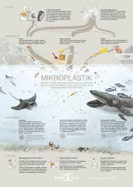 Schule In 2020 Infografik Mikroplastik Plastik Im Meer
