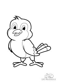 Niedlicher wellensittich mit aufmerksamen blick. Vogel Malvorlagen Youtube