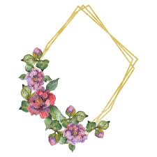 We did not find results for: Foto E Immagini Stock Royalty Free Fiori Di Camelia Rossi E Viola Acquerello Sfondo Illustrazione Set Ornamento Bordo Cornice Con Spazio Copia