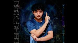 Blacklist international is tier one entertainment's esports team. What Is Blacklist In Mobile Legends