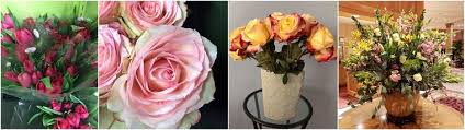 Mls id #6088250, keller williams premier realty. The 10 Best Options For Flower Delivery In St Paul 2021