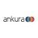 Ankura Consulting Group logo