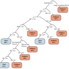 Image result for Ascolepis trigona