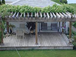 Back Yard Wonder Grape Vines Growing On The Pergola Ombre De Pergola Patio Pergola Pergola