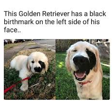 Pin On Rustic Living Room Remodel