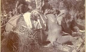 The History of Royal Hunts in Nepal's ...