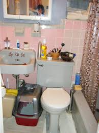 With little room for an extra cabinet or standing shelves, one of the best small bathroom storage solutions is to think up. Simple Apartment Bathroom Decorating Ideas Design Corral