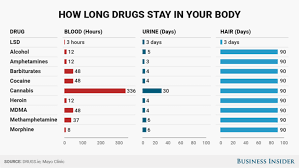 How Long Various Drugs Stay In Your Body Business Insider