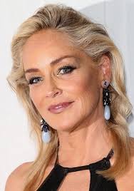 Sharon Stone stars as VP in new series