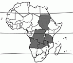 Image result for Isoberlinia angolensis