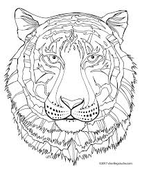 Maybe you would like to learn more about one of these? Flora And Fauna Coloring Sheets Short Leg Studio