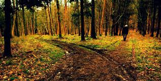 Two roads diverged in a yellow wood, and sorry i could not travel both and be one traveler, long i stood and looked down one as far as i could to where it bent in the undergrowth; The Road Not Taken Poem By Robert Frost In Hindi Ratikanta Singh