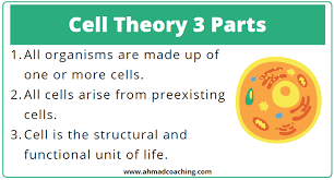 Cell theory is a proposed and widely accepted view of how most life on earth functions. Cell Theory 3 Parts Timeline For Cell Theory