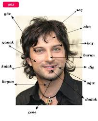 Mohamed Sall (sallmohamed246)