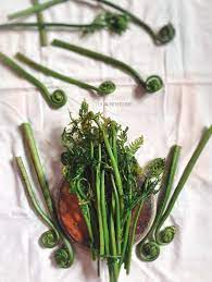 Green Veggies. Niguro. Spinach. Saag. Nepali | Green veggies, Veggies, Saag