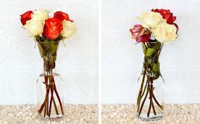 We did not find results for: How To Keep Roses Alive More