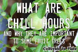 Most fruit trees (except for citrus) and berries, require a certain number of chill hours in order to produce fruit in the growing season. What Are Chilling Hours And Why Are They Important Cultivate To Plate