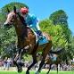 The Great Western Cup event image