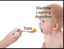 Matthew Regala (@matthew_regala)