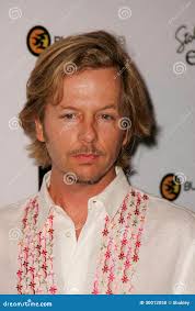 Espada de David imagen editorial. Imagen de partido, chalet