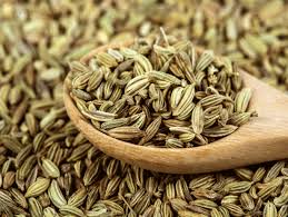 Melissa clark from the new york times explains how to remove the woody stalk and slice. Fennel Seeds For Weight Loss Bad Odour And More