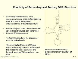 Write the complimentary dna strand for each given strand of dna. Biochem Handout 3 Nucleic Acids Copyright 2013 Pearson
