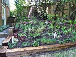 Garden design and landscapers in kent. Tunbridge Wells Garden Design Chris O Donoghue Garden Designer And Author