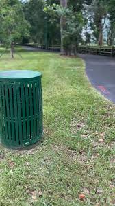 Training Blue Jays . They can be smart .