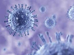 Los virus de influenza aviar pueden llegar a afectar a los mamíferos, incluidos los seres humanos, por lo general después de un. Influenza Virus A H1n1 Schulke Mayr Gmbh