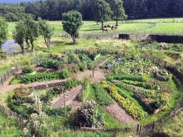 Le Jardin Mandala En Permaculture Principes Et Inspirations Mandala Jardin Jardin Permaculture Jardin Potager