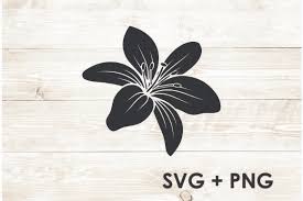 Download Lily Flower Abstract Nature Vector Graphic By Too Sweet Inc Creative Fabrica