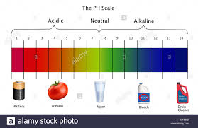 diagram of the ph scale with examples of acidic neutral and