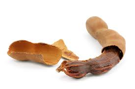 Image result for Tamarindus indica