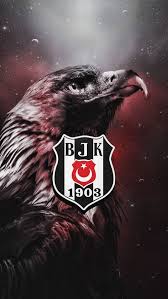 Pin By Batuhan Taha Kaya On M In 2020 Samsung Wallpaper Eagle Wallpaper Phone Wallpaper